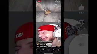 ⚠️HEADPHONE WARNING ⚠️ I accidentally doubled the sound 😅 #shorts #memes #funny #kitty