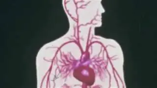 Paranerd - Inclusive Acid