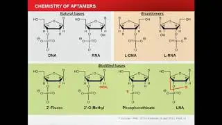 Aptamer imaging