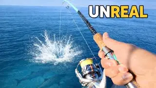 Absolute Chaos 26 Miles Offshore | Screaming Kingfish Runs!