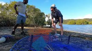 Queensland MUD CRABBING! My first attempt. Part 1