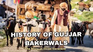 Ep 10 History of Gujjars in Pirpanjal || Poonch Rajouri ke Gujjar aur Bakerwal