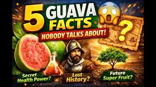 5 Guava Facts Nobody Talks About | Surprising & Hidden Truths