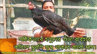 মুরগির সুস্থ রাখার পদ্ধতি How to keep chickens healthy