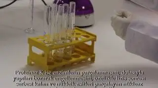 Deva Okulları - Kandan DNA İzolasyonu (Kısa Belgesel)