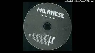 Milanese &ndash;  Sight Beyond Sight (Hrdvsion Remix)