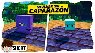 SHULKER INVISIBLE #Shorts