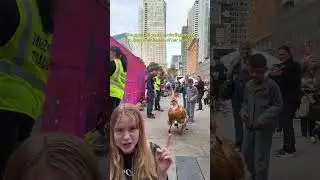 Боишься подойти вплотную? Приходи и найди её. Если осмелишься.