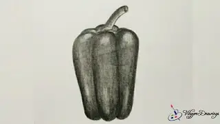 Bell Pepper Drawing/Pencil sketch/How to draw Bell Pepper/Vibgyor Drawings