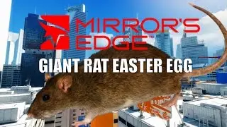 Mirror's Edge Giant Rat Easter Egg