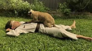 Karate Cat. Episode 1.