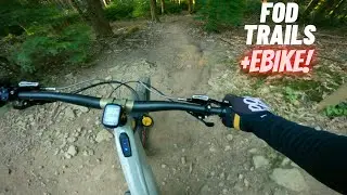 Forest of Dean MTB Trails - Dry summer conditions!