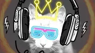 T.M.O.M.H. - RADIOSTILTE