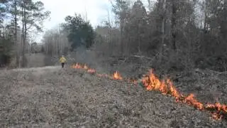 Controlled burn at SFA's Walter C. Todd Agricultural Research Center