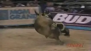 Copperhead bucks Cauy Hudson - 98 PBR Finals