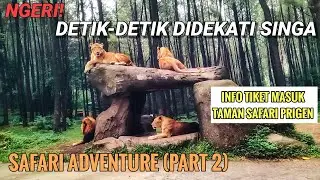 TAMAN SAFARI PRIGEN PASURUAN SAFARI ADVENTURE 2021 | INFO TIKET MASUK