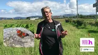 Wildlife at Carrowmore