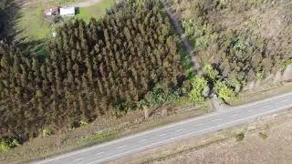 Mavic Air Chol Chol en 4K