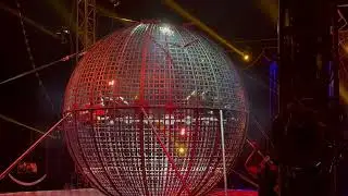 THE PORTUGAL CIRCUS