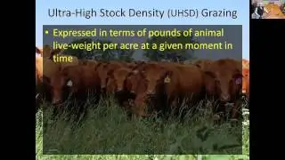 Introduction to Ultra-high Stock Density Grazing by Hugh Aljoe