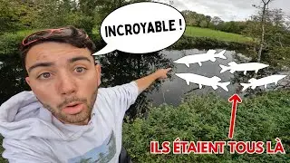 Les BROCHETS de cette PETITE RIVIÈRE étaient tous RASSEMBLÉS au MÊME ENDROIT ! 