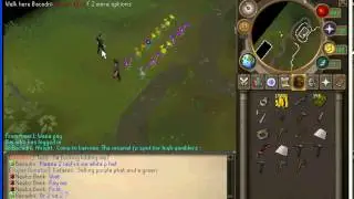 Bacadrii Scamming Red Phat (ArravRSPS)