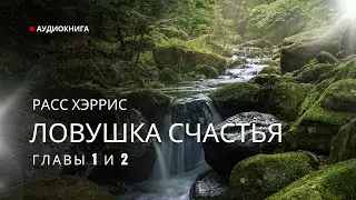 Аудиокнига. Расс Хэррис 