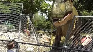 Dinosaurs at Zoo Miami, OH MY!