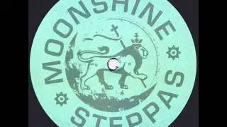 Radikal Guru & Cian Finn - Ireland  ( Bukkha Remix )
