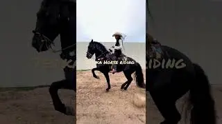 beautiful lady riding Black friesian horse #friesianhorse #galloping #viralvideo #blackhorse #shorts
