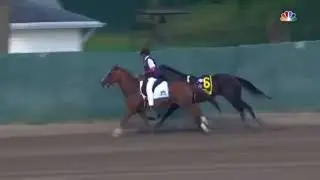 A Tribute To Midnight Bourbon