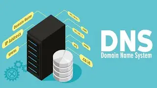 Beginner, DNS query simplified