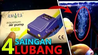 Aerator Sejuta UMAT Penghobi Ikan Mas Koki: Review AMARA Q6 2 Lubang