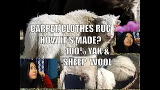 CARPET , CLOTHES AND RUG , HOW IT&rsquo;S MADE? FROM YAK AND SHEEP WOOL  🇵🇭 filipina in Nepal 🇳🇵