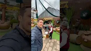 O festival da cacha&ccedil;a de Ivoti acontece nos dias 15, 16 e 17! Estacionamento gratuito tb! #ivoti
