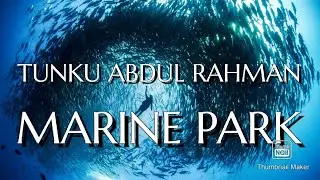 TUNKU ABDUL RAHMAN MARINE PARK | KOTA KINABALU SABAH