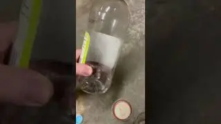 How to extract microfossils from rocks