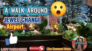 A WALK AROUND JEWEL CHANGI AIRPORT | LADY PANDAKEKZ #subscribe #singapore 