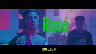 Vice menta - rose