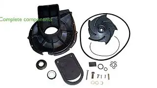 REVIEW (2026): Pacer Pumps 58-702EP-U Rebuild Kit. First Look.