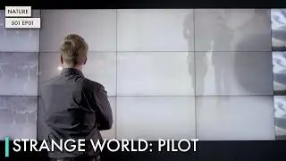 Strange World: Pilot
