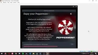 Peppermint Installation in Oracle VM