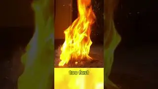 Dangerous Cottonwood Fluff: How Quickly Can Fluff Ignite! #shorts  #cottonwood #fluffball