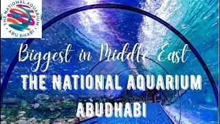 The National Aquarium Abudhabi Part 2 | Biggest Aquarium in Middle East #abudhabi #aquarium