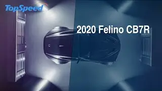 2020 Felino CB7R