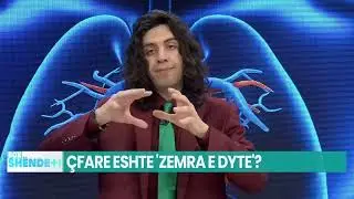 Çfarë ndodh në zemër? Arsyet se pse është thelbësore të kujdesemi për të/ Struktura e saj