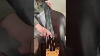 4/17/23 #bass #music