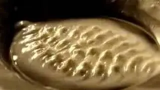 Cornstarch and vibrations