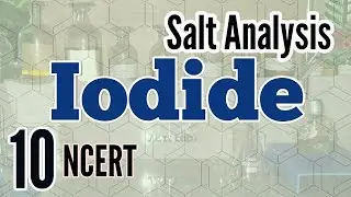 Identification of Iodide : Salt Analysis series NCERT