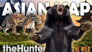 We Need an ASIAN MAP in Call of the Wild!!! (Concept Video)